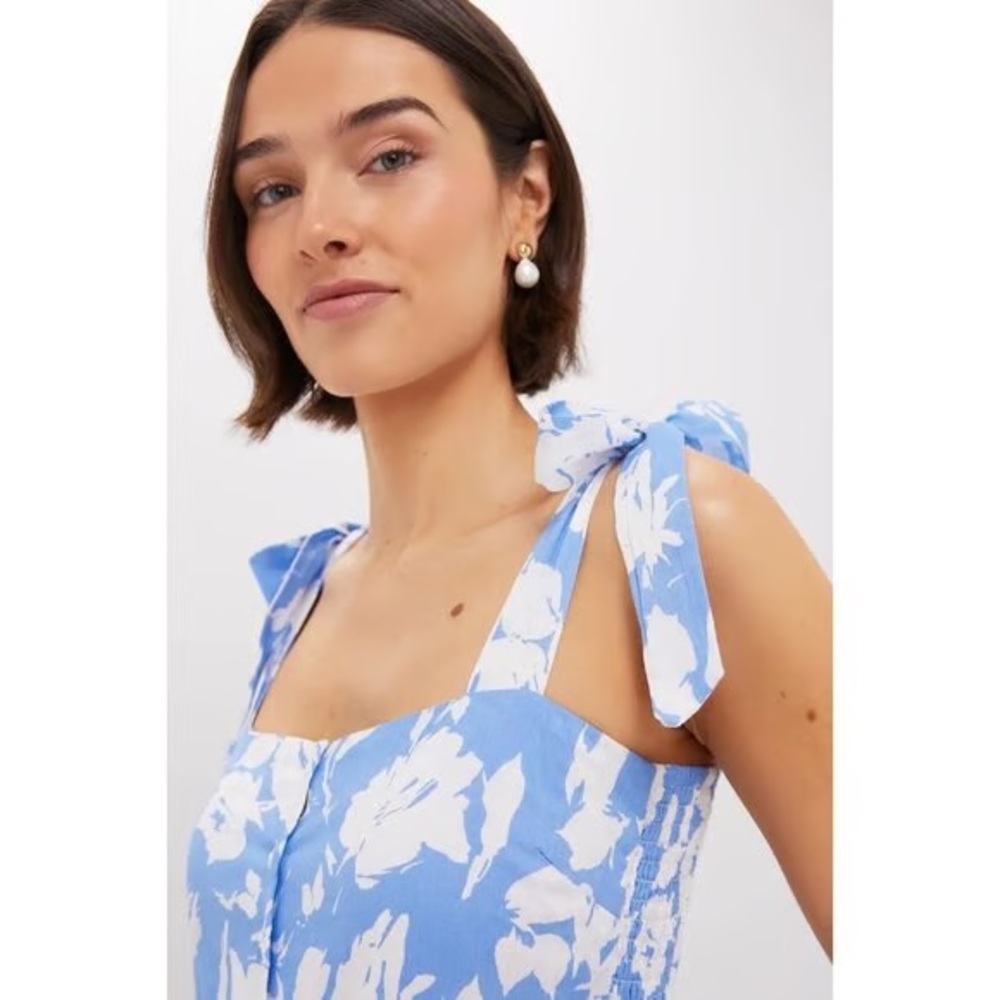 Tuckernuck Hyacinth House Blue and White Dress - Picture 3 of 11